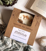 Balsam Cedarwood Botanical Candle by Song of India — primary soy wax candle product image