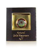 Ayurveda Solid Perfume by Song of India — primary perfume product image