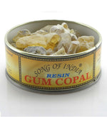 Gum Copal Resin by Song of India — primary product image